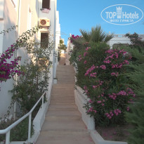 фото из отзыва ID 352216