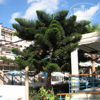 фото из отзыва ID 352223