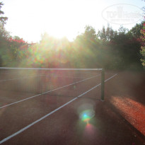 фото из отзыва ID 352967