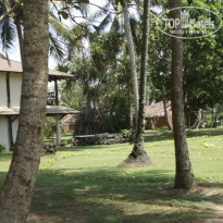 фото из отзыва ID 353012