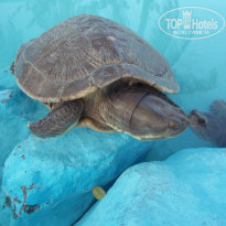 фото из отзыва ID 353285