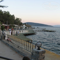 фото из отзыва ID 353459