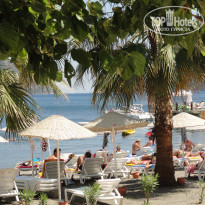 фото из отзыва ID 353386