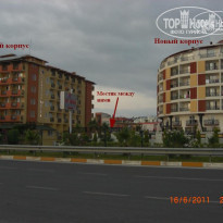 фото из отзыва ID 353108