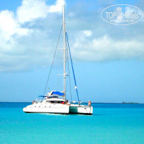 фото из отзыва ID 353285