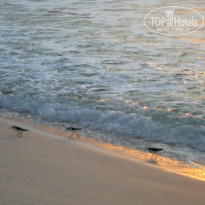 фото из отзыва ID 353285