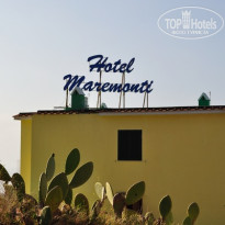 фото из отзыва ID 354087