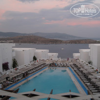 фото из отзыва ID 354259