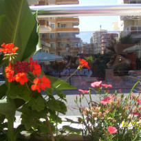 фото из отзыва ID 354268