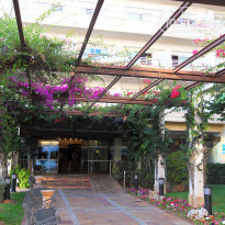 фото из отзыва ID 354372