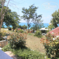 фото из отзыва ID 354624