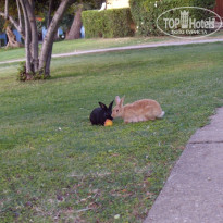 фото из отзыва ID 355209