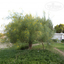 фото из отзыва ID 355209