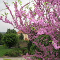 фото из отзыва ID 355266