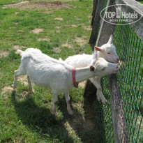 фото из отзыва ID 355266