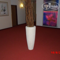 фото из отзыва ID 355467