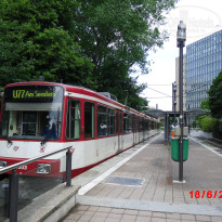 фото из отзыва ID 355467