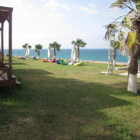 фото из отзыва ID 356222