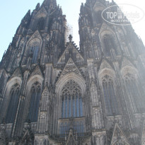 фото из отзыва ID 356233