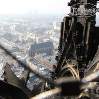 фото из отзыва ID 356233