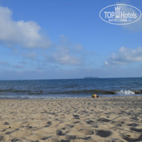 фото из отзыва ID 356462