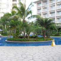 фото из отзыва ID 356462