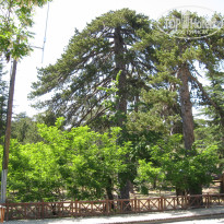 фото из отзыва ID 356693