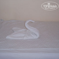 фото из отзыва ID 356722