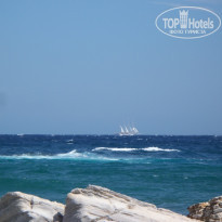 фото из отзыва ID 356841