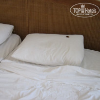 фото из отзыва ID 356865