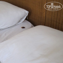 фото из отзыва ID 356865