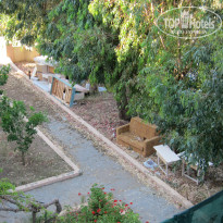 фото из отзыва ID 356865