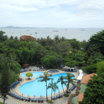 фото из отзыва ID 356949