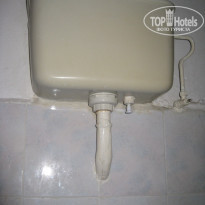 фото из отзыва ID 357057