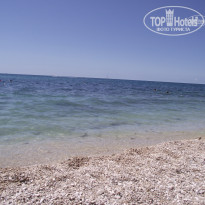 фото из отзыва ID 358190