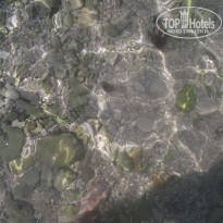 фото из отзыва ID 358190