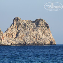 фото из отзыва ID 358397