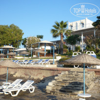 фото из отзыва ID 358496