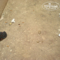 фото из отзыва ID 359129