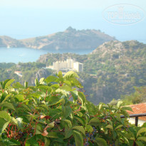 фото из отзыва ID 359996