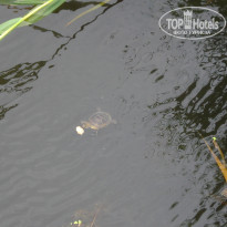 фото из отзыва ID 360468