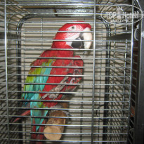 фото из отзыва ID 360488