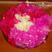 фото из отзыва ID 361623