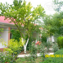 фото из отзыва ID 361805