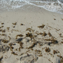 фото из отзыва ID 361607