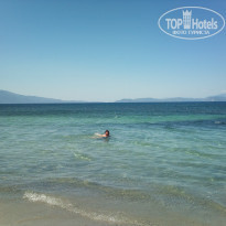 фото из отзыва ID 362368