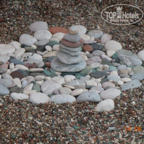 фото из отзыва ID 362457