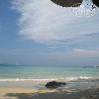 фото из отзыва ID 362790