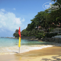 фото из отзыва ID 362790