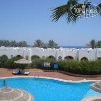 фото из отзыва ID 362955